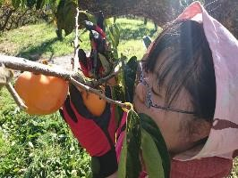 「どろんこ畑」