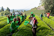 お茶の通販・京都おぶぶ茶苑