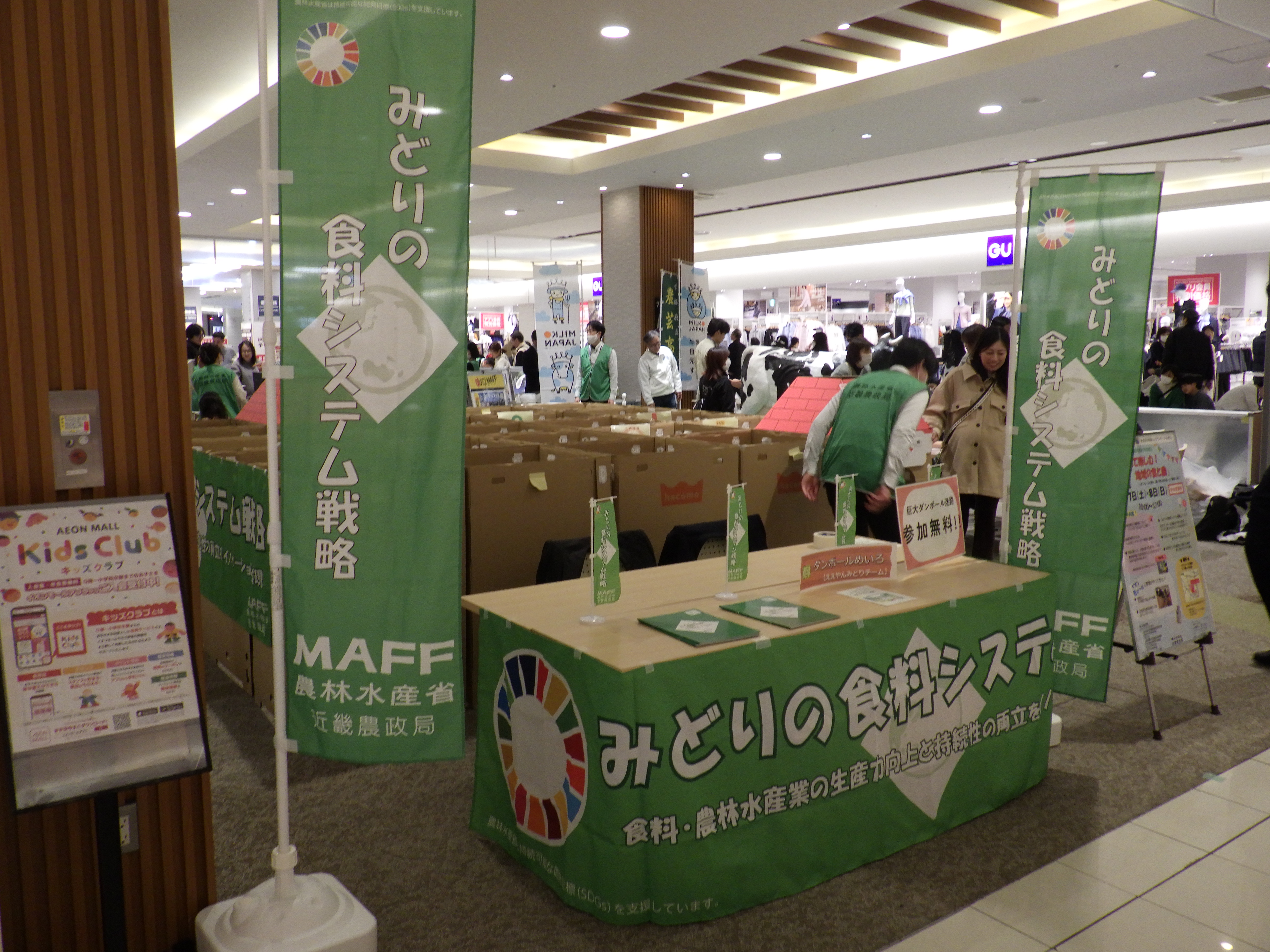 展示の様子