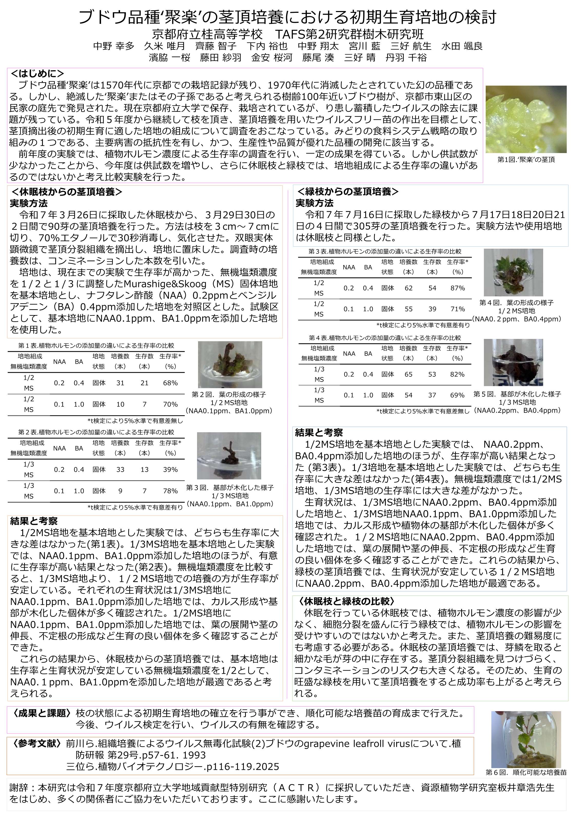 京都府立桂高等学校TAFS第2研究群樹木研究班のポスター