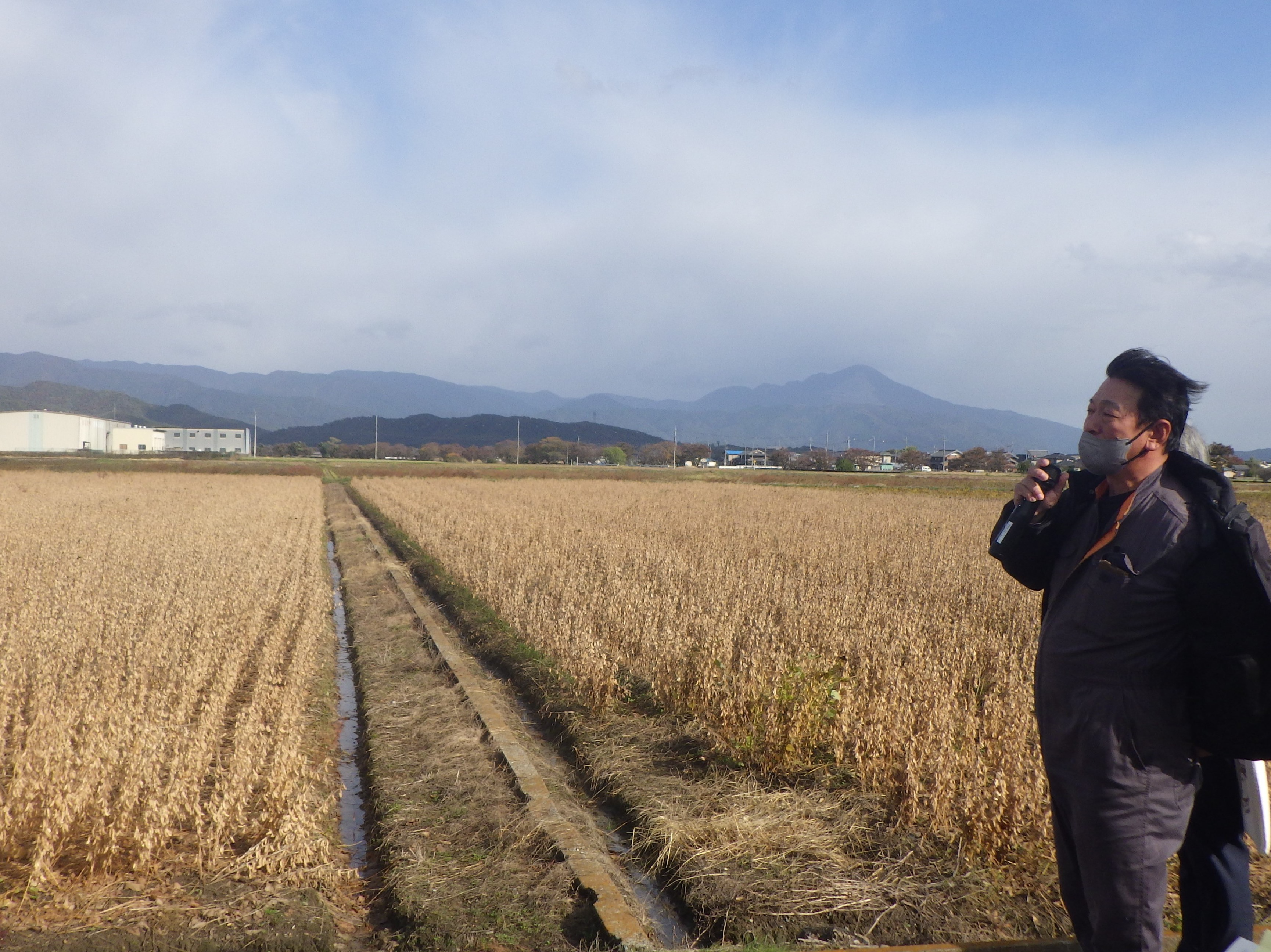 あさひ農園の大豆ほ場の様子
