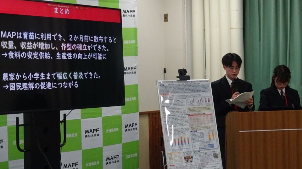 発表の様子