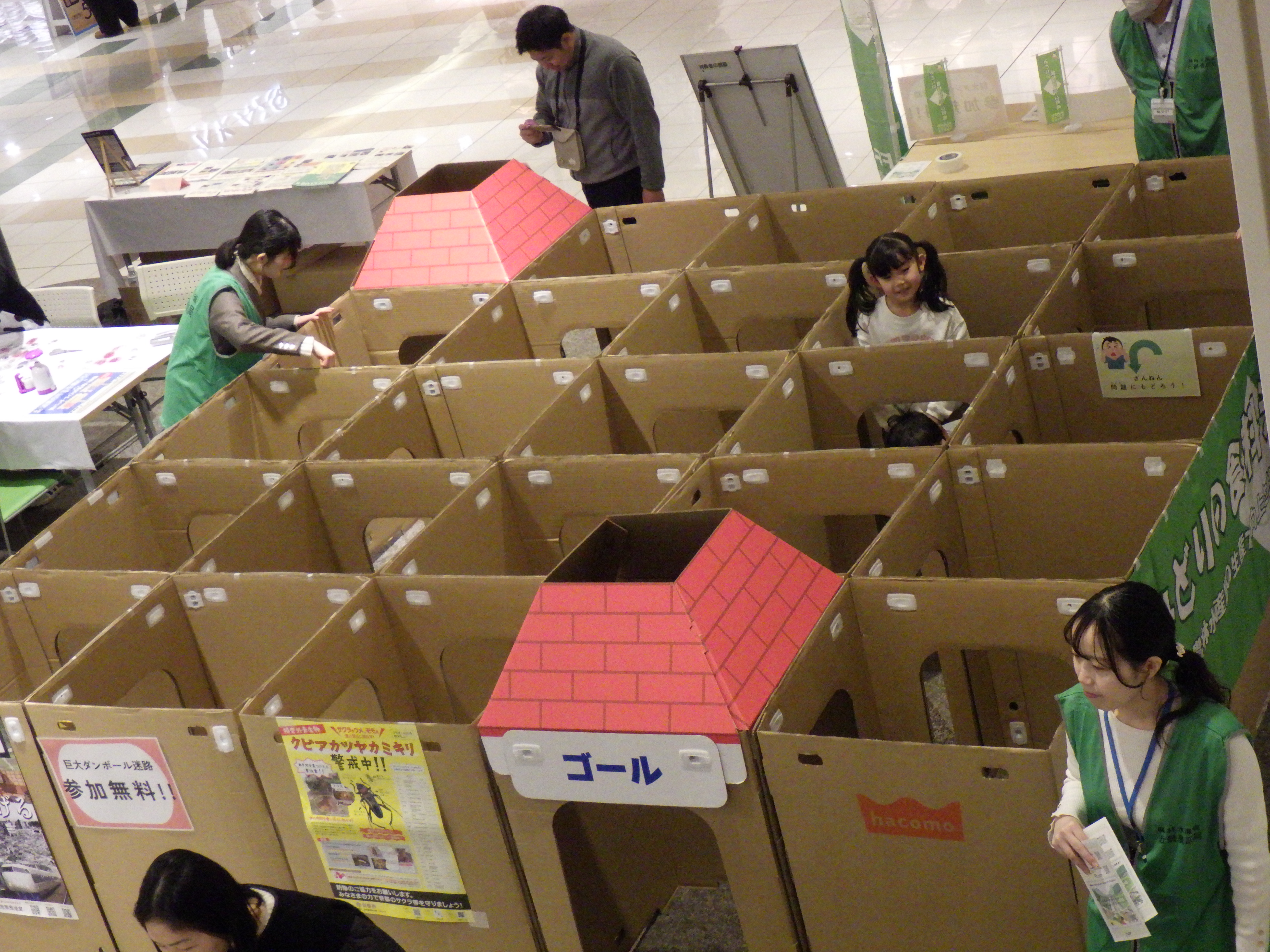 クイズに答えながら、段ボール迷路のゴール目指して頑張ろう!