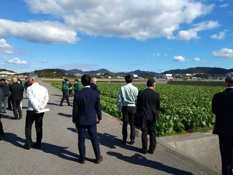 ほ場_野菜