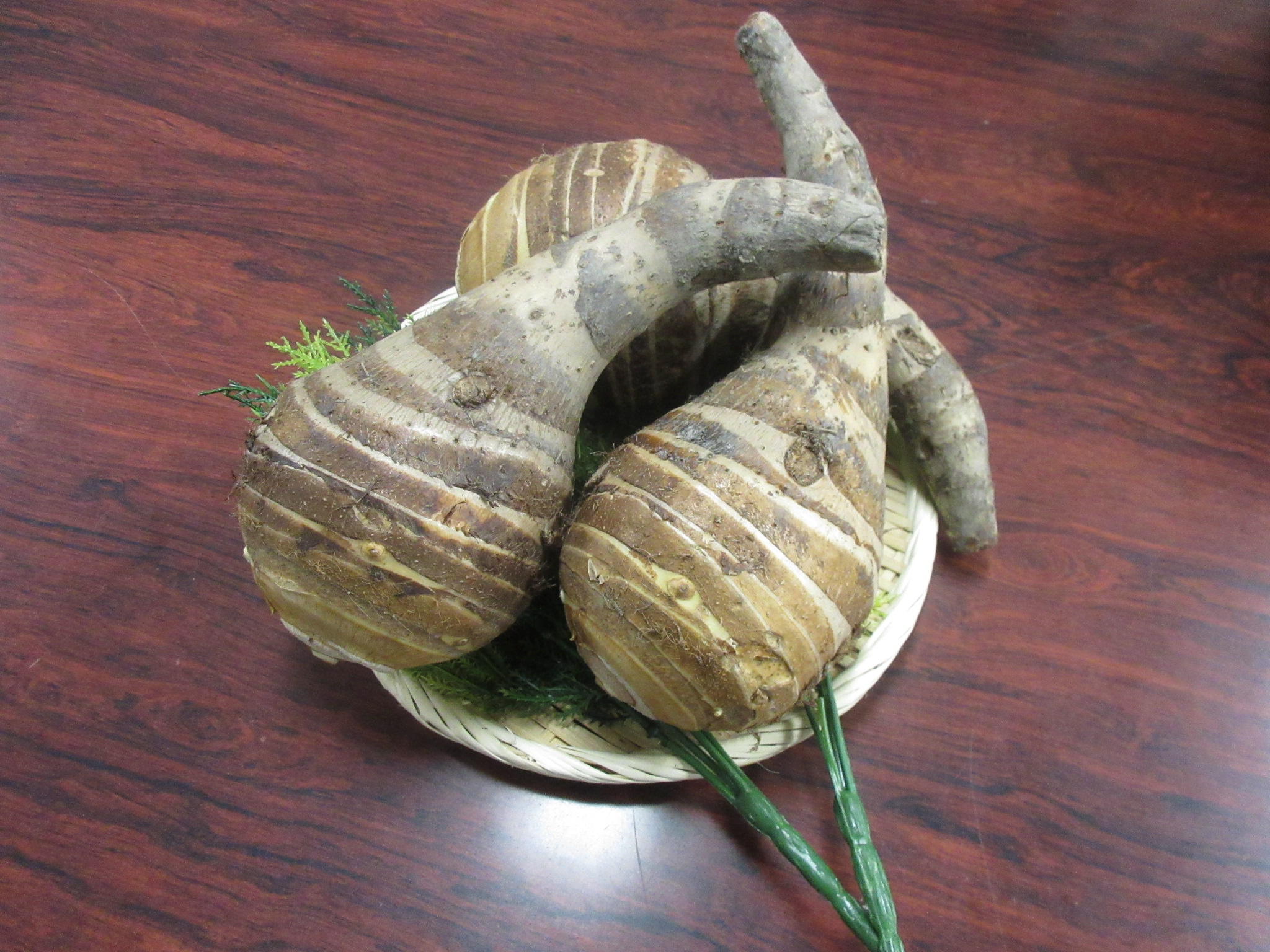 富田林の海老芋