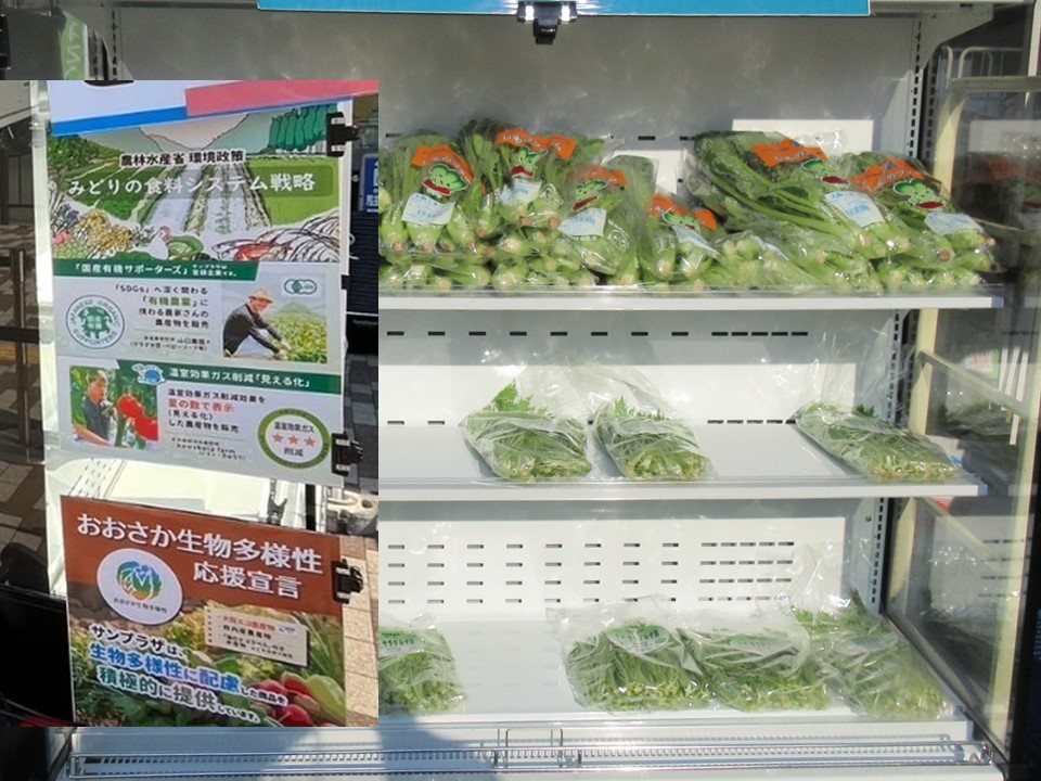 売場パネル入り
