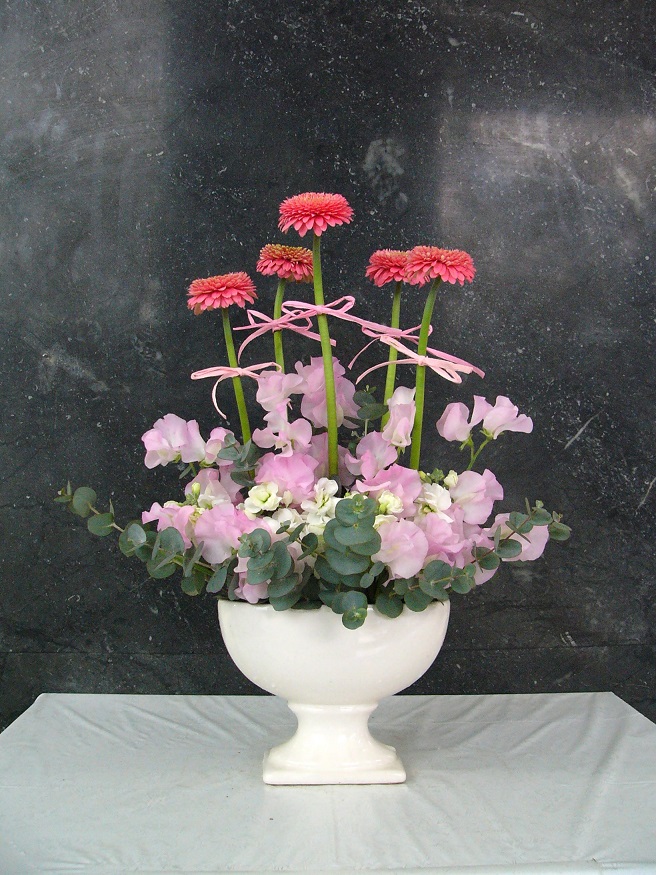 今週の花「ハッピーバレンタイン！」