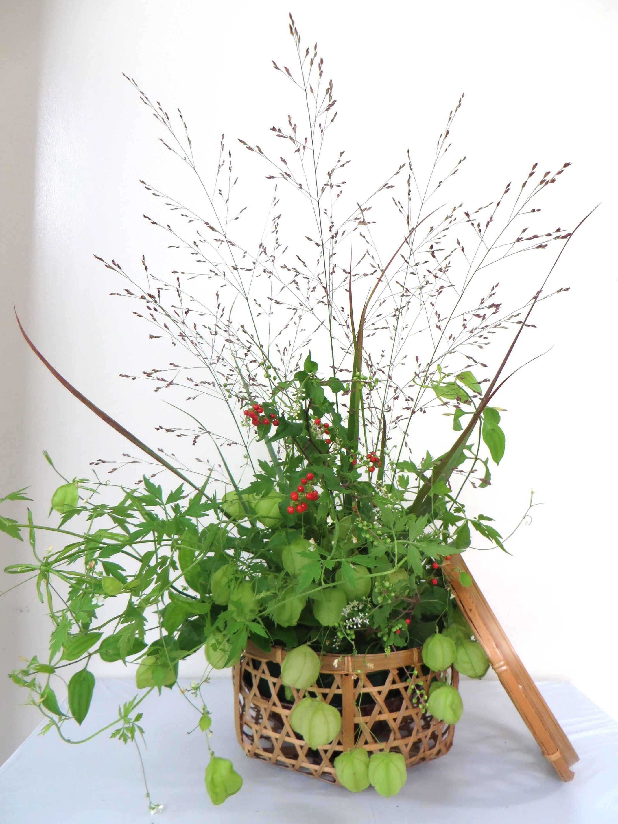 今週の花 テーマ 新涼