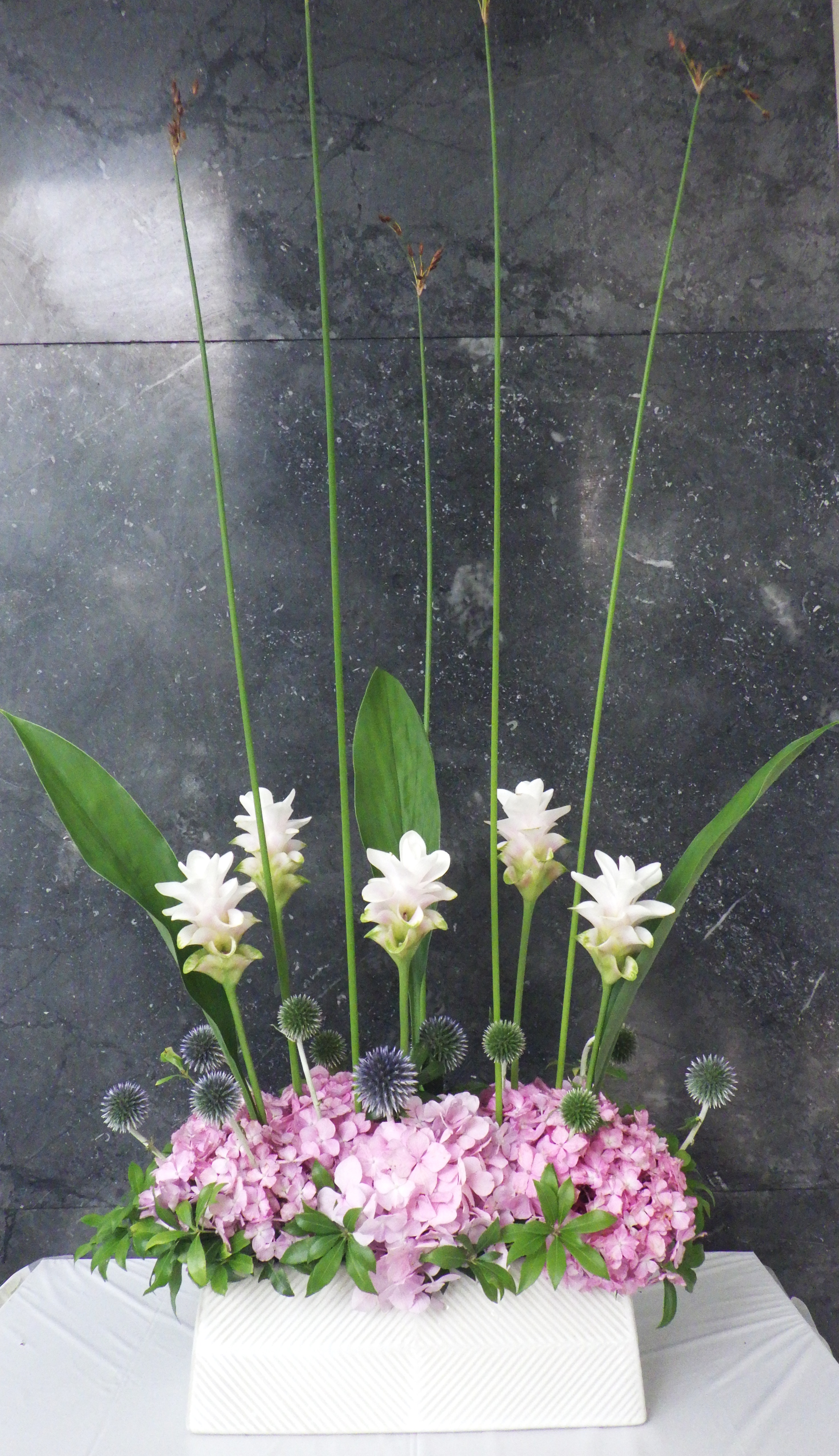 今週の花　テーマ　雨音