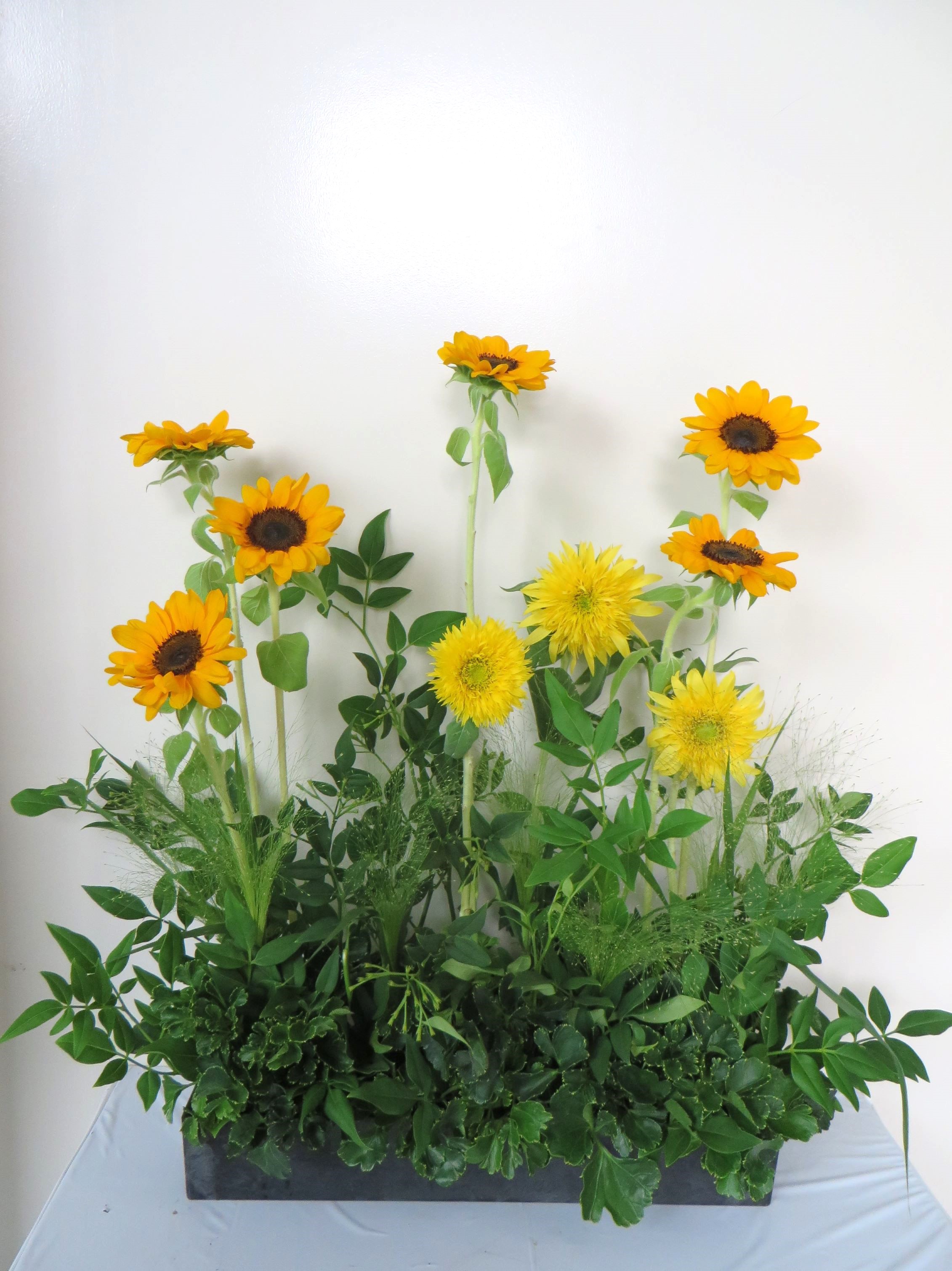 今週の花 テーマ 「夏空」