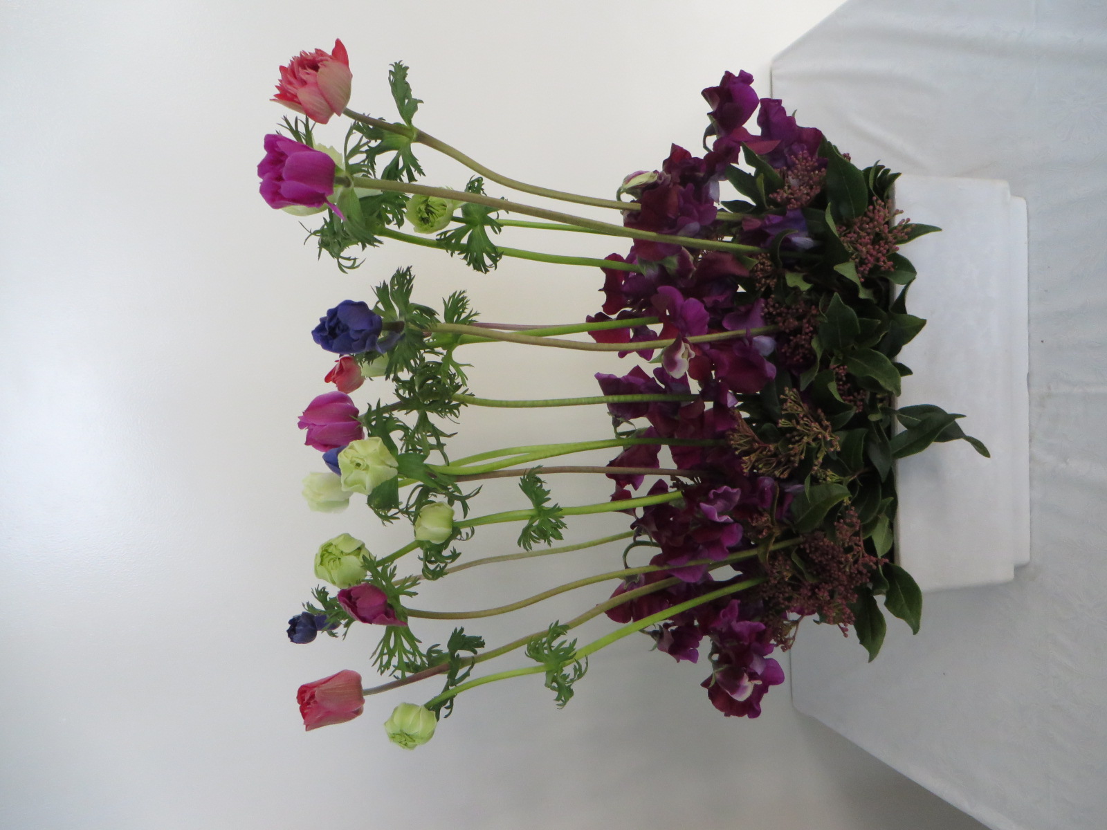 今週の花「春に向かって…」