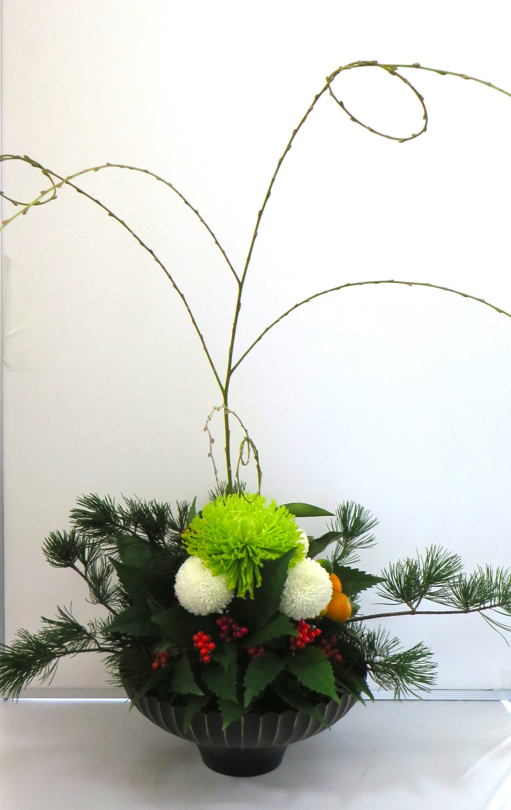 今週の花「2026 迎春」