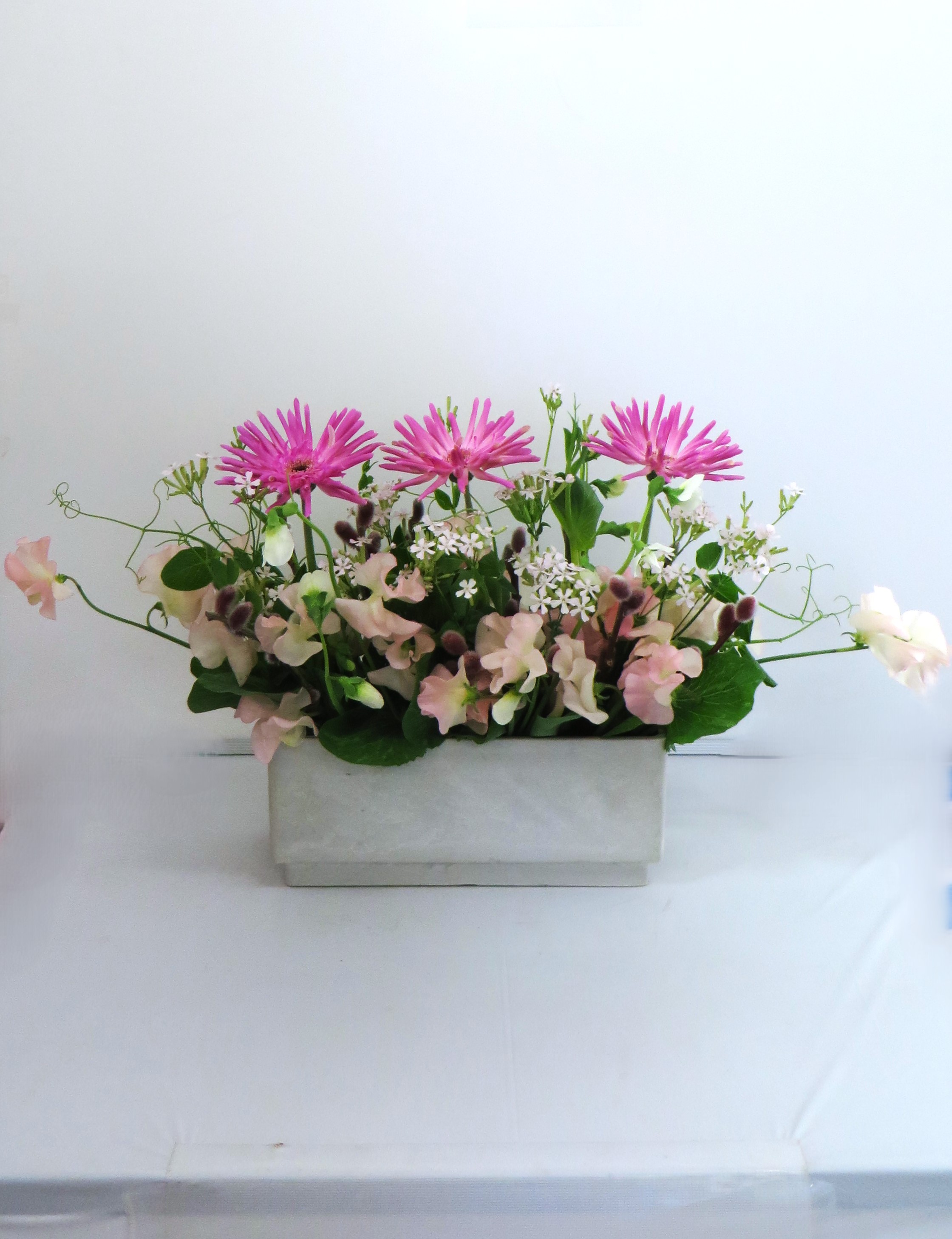 今週の花「春先取り」