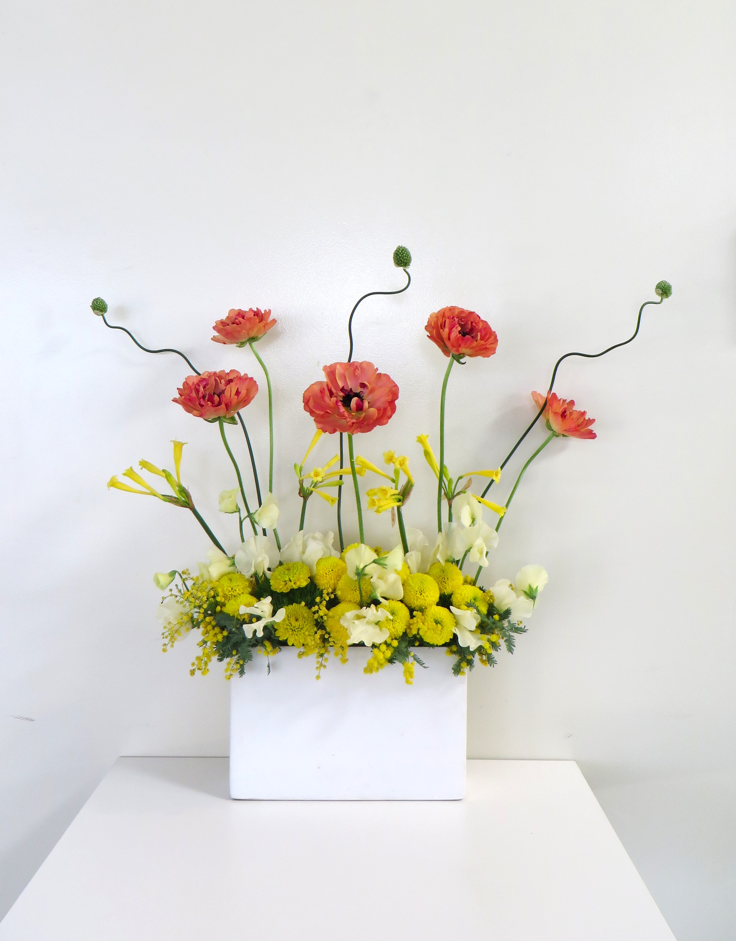 今週の花「春一番」