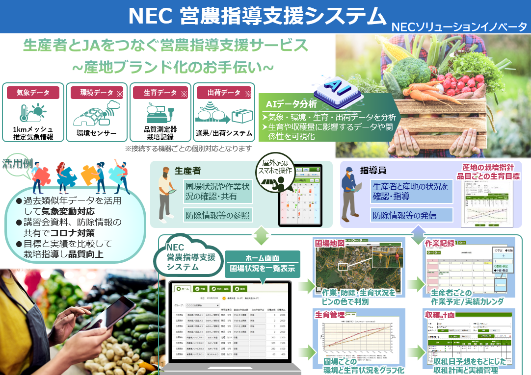 nec