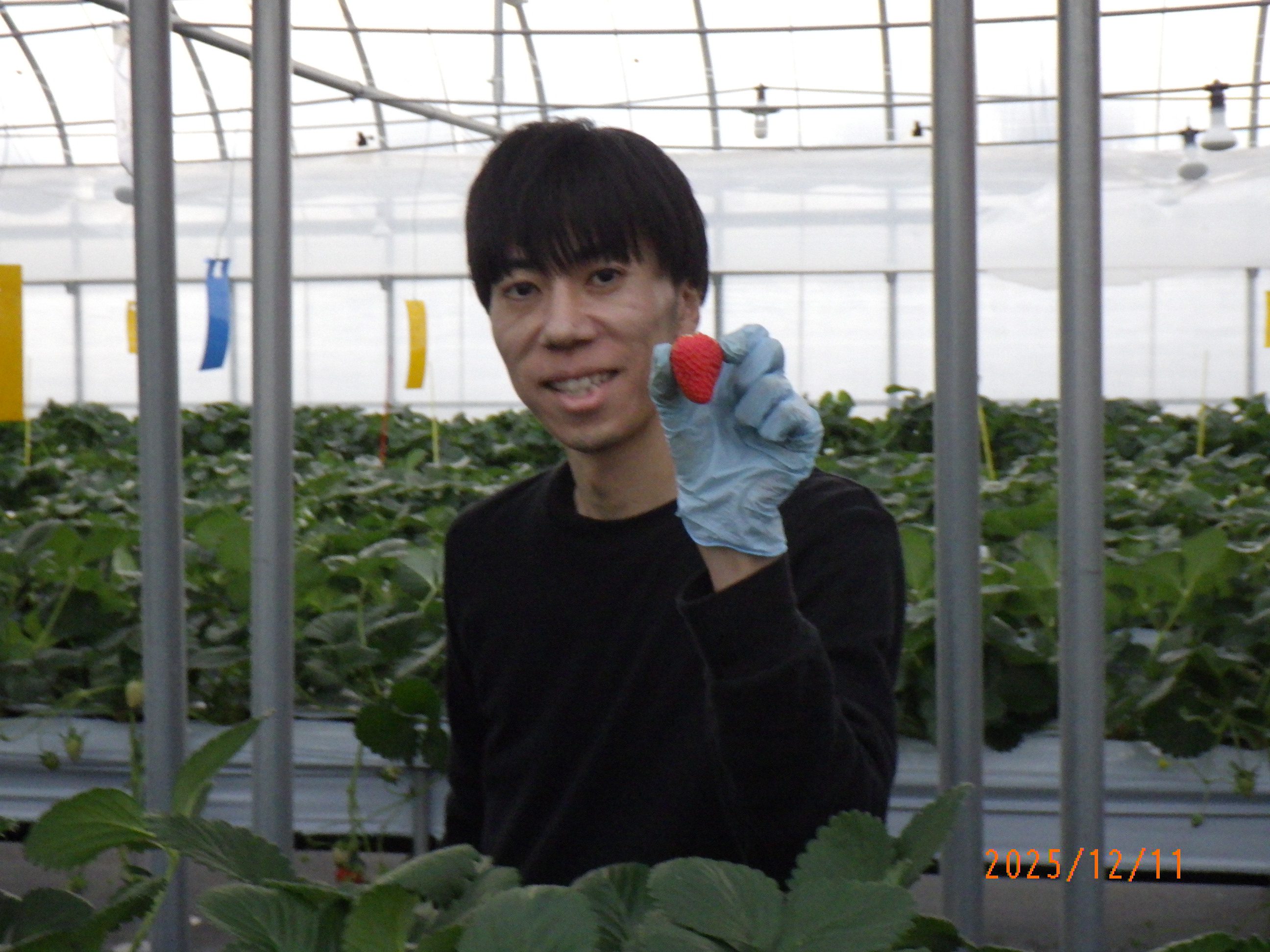 農村派遣研修の様子