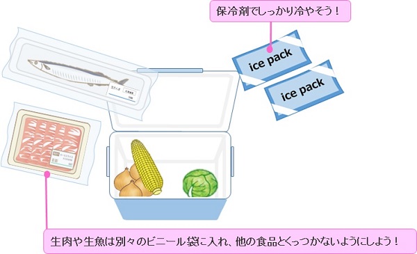運ぶときはクーラーボックスで