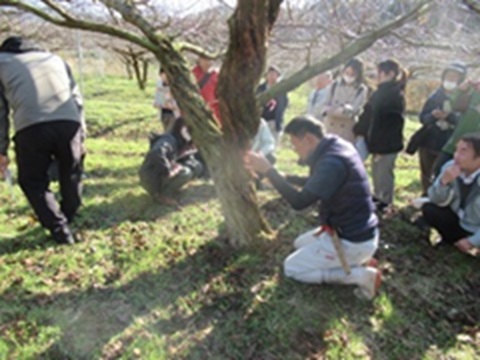 掘取実施の様子