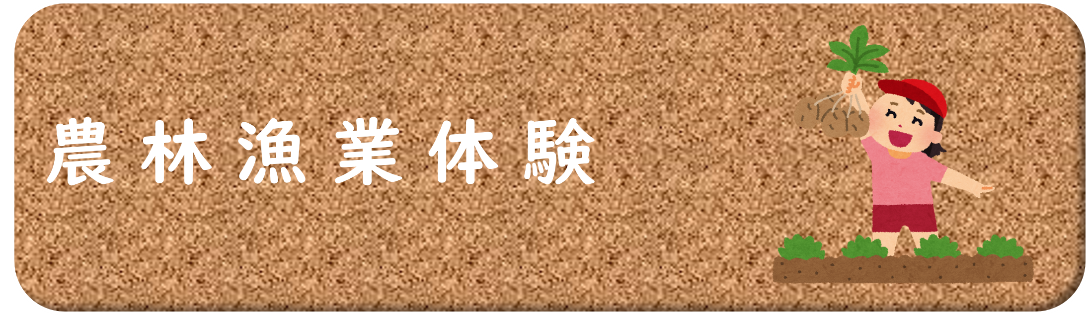 農林漁業体験