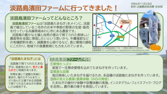 濱田ファーム体験レポート
