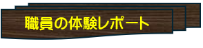 体験レポート