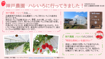 ハレいろ体験レポート