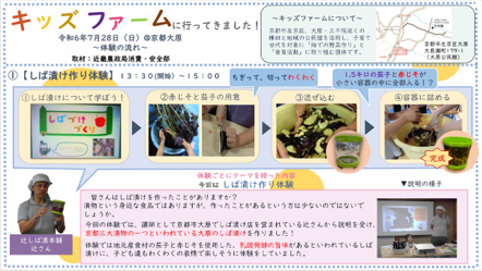 キッズファーム体験レポート