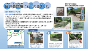 醒井養鱒場体験レポート