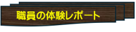 体験レポート