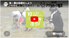 ユーチューブの映像