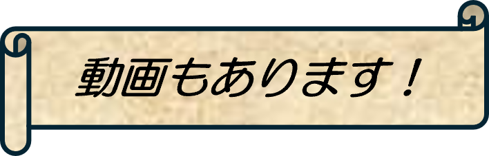 動画紹介