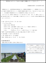 田植え体験レポート