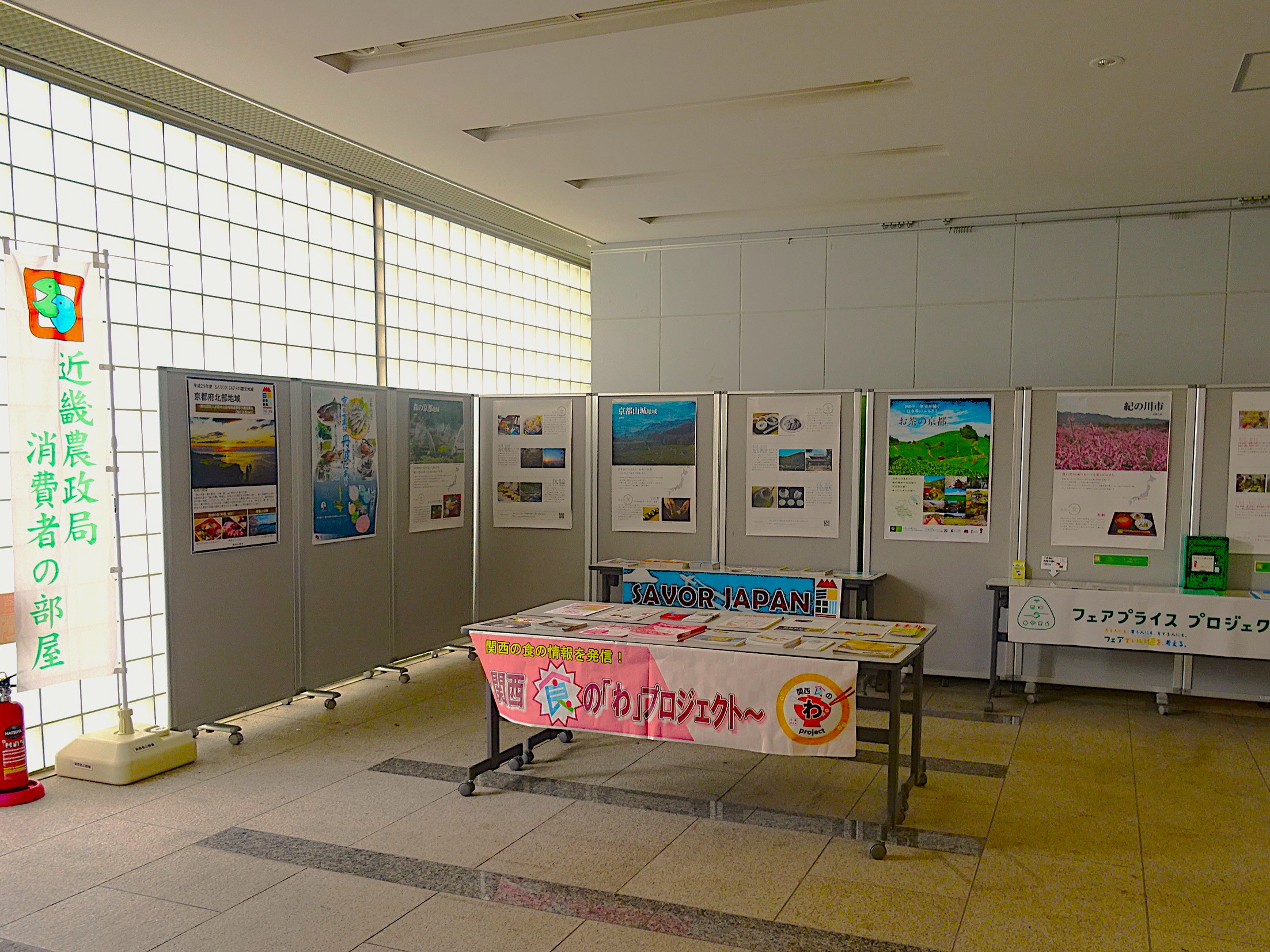 展示4