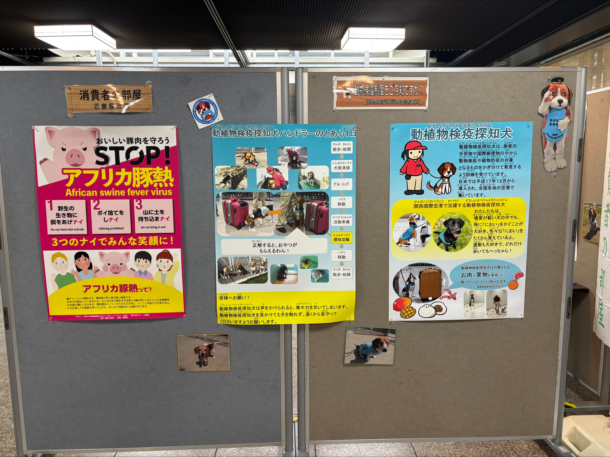 消費者の部屋動物検疫制度をご存じですか？の展示様子２