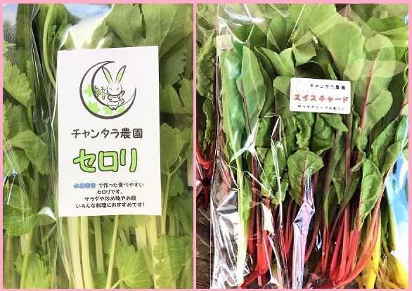 サラダ野菜