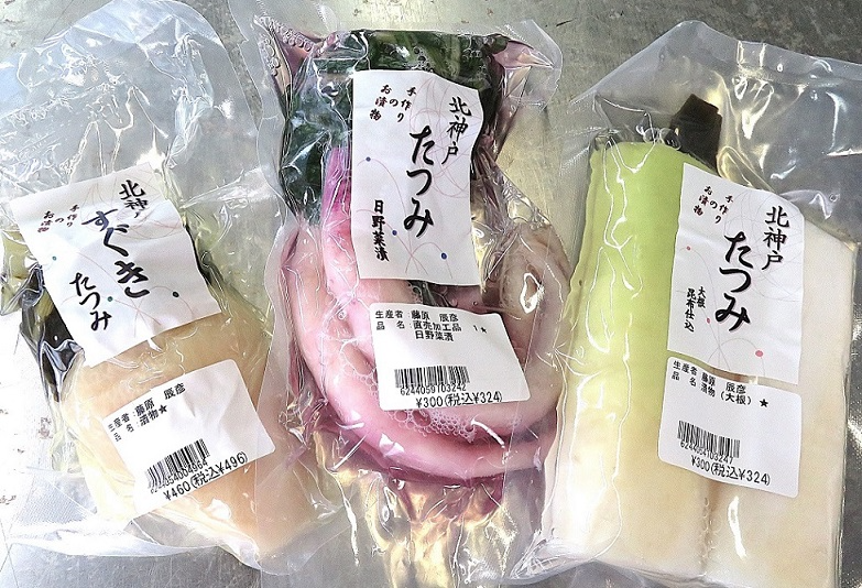 たつみ画像