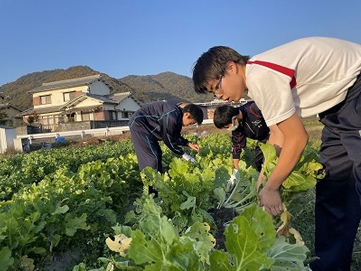 東洋大附属姫路高