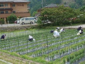 和生園