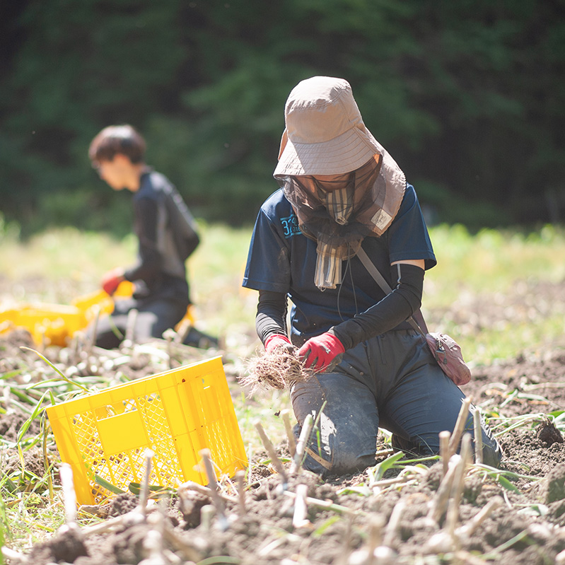 株式会社ディスカバリープロジェクト