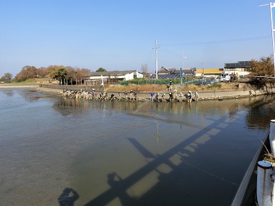 かいぼり風景2