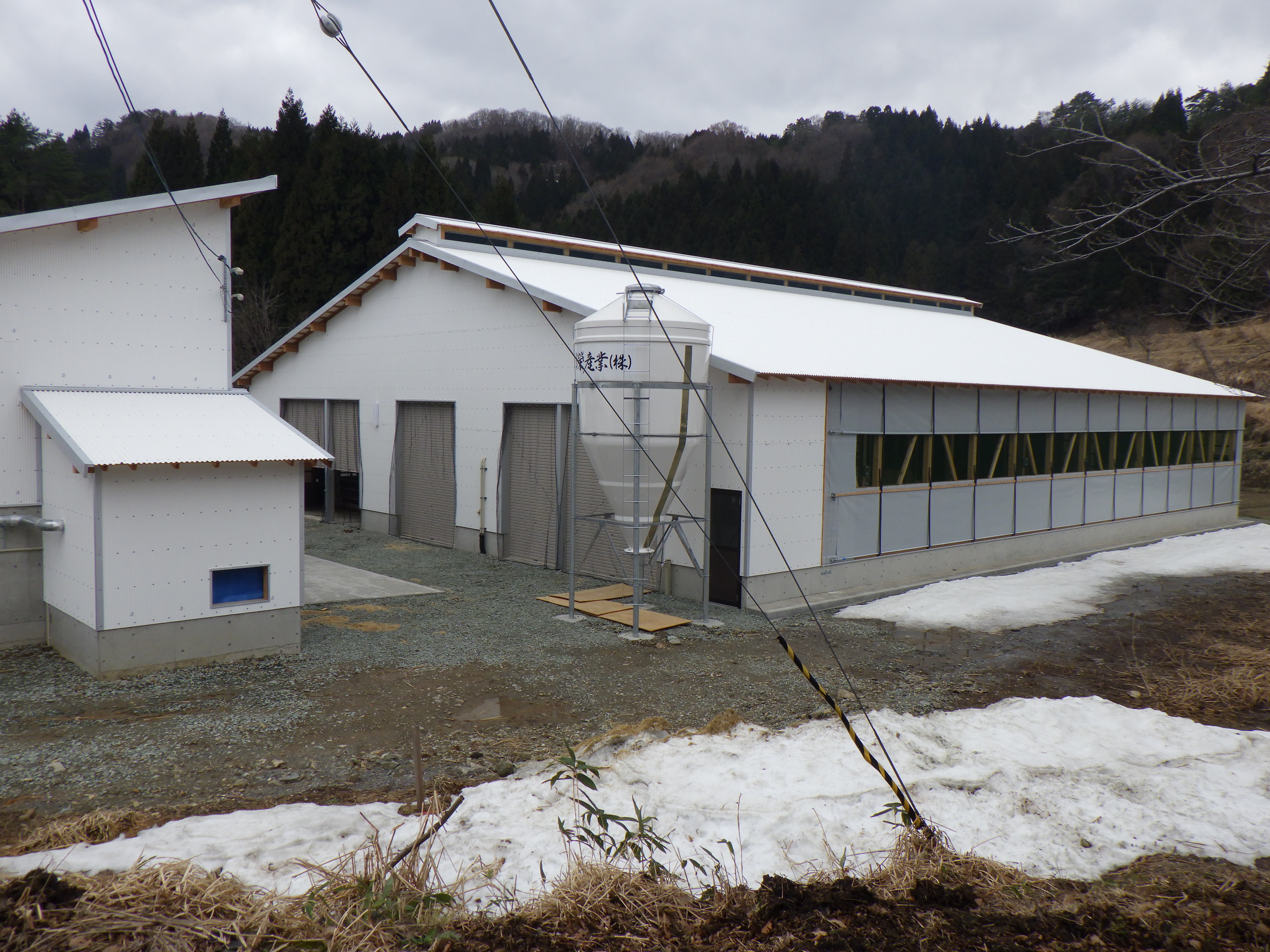 水間畜産3