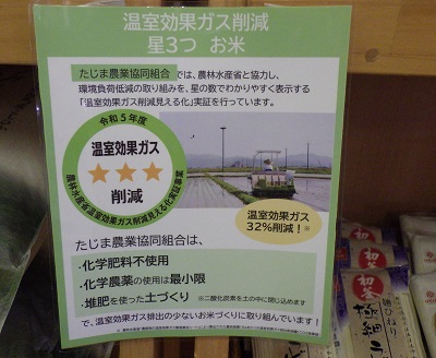 ポップ２