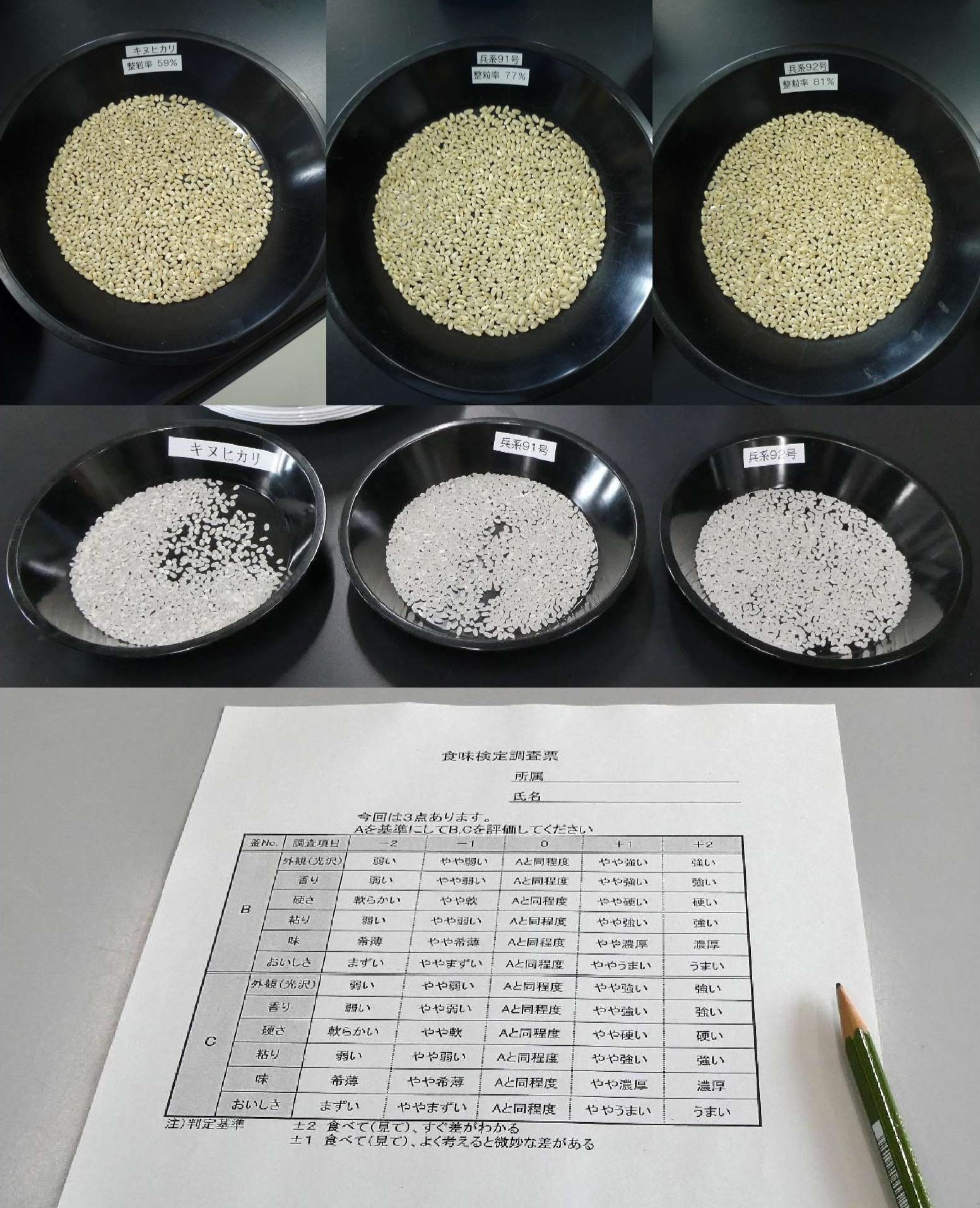 玄米と精米