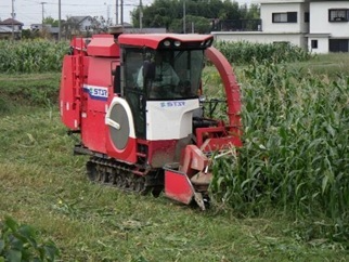 dent-2.jpg
