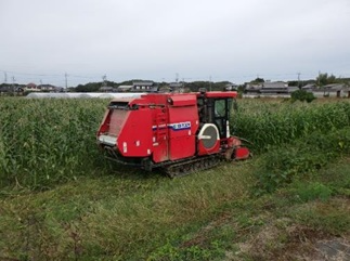 dent-3.jpg