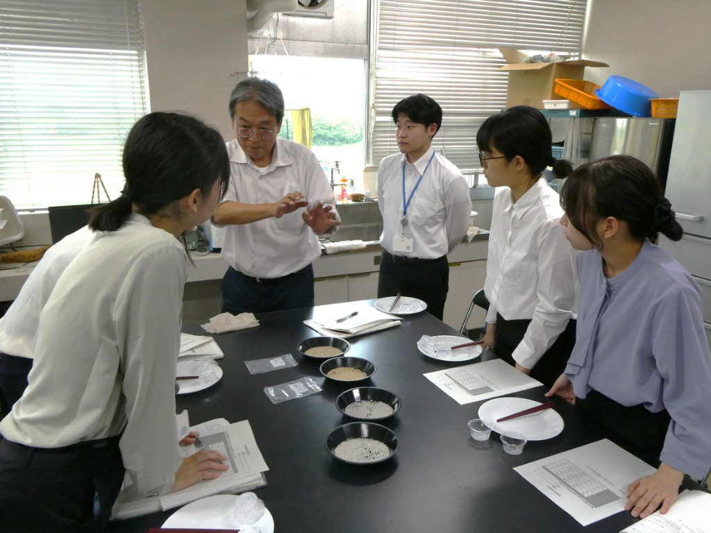 兵庫県立農林水産技術センターでの白米未熟粒の説明