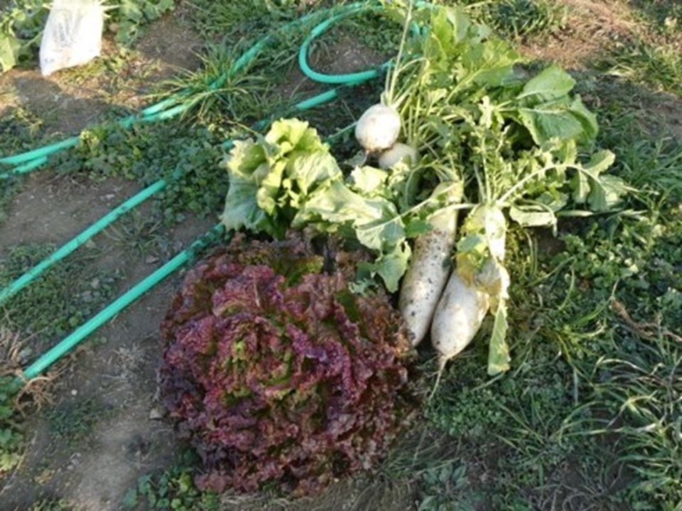 有機アカデミー4