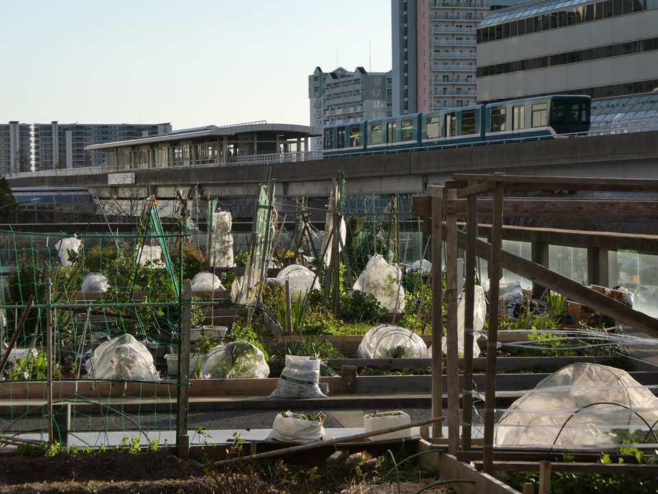 シェラトンファームの貸農園