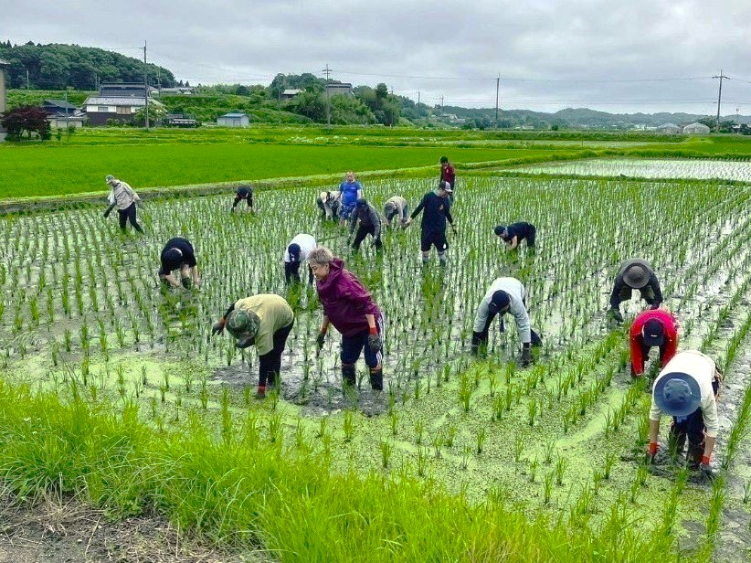 田尻農園4