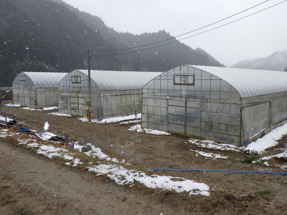 植田さんのハウス